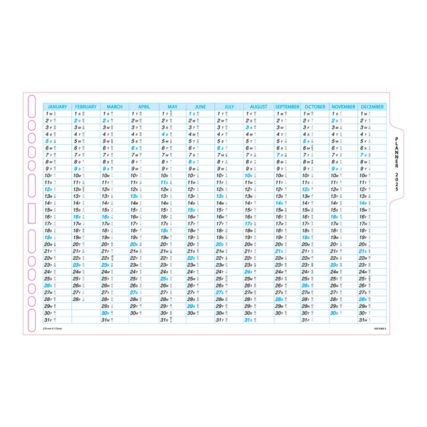 R'fillae A5/A6 Wire-O Binder 1 Week per Page Planner Diary (2025)