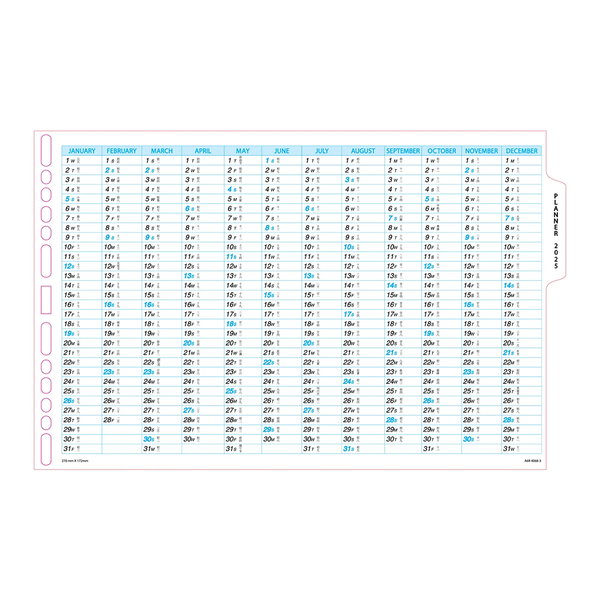 R'fillae A5/A6 Wire-O Binder 1 Month on 2 Pages Planner Diary (2025)